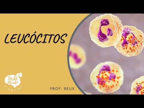 White blood cells - Elementary School