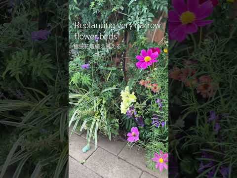 ガーデンシャワー:簡単なリフレッシュメント ガーデンデザイン