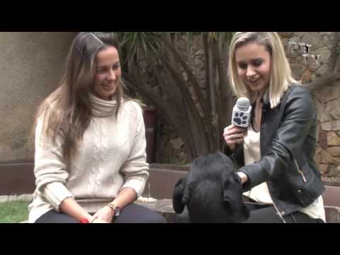 PET TV - TRAILLER DO PROGRAMA 1 - ROTTWEILER