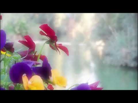 Virtual House Church 1-21-2023