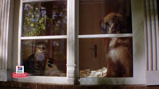 OfficialHillsPet The Millers: A Science Diet Story