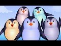 Five Little Penguins