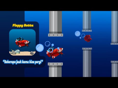 Flappy Betta Video