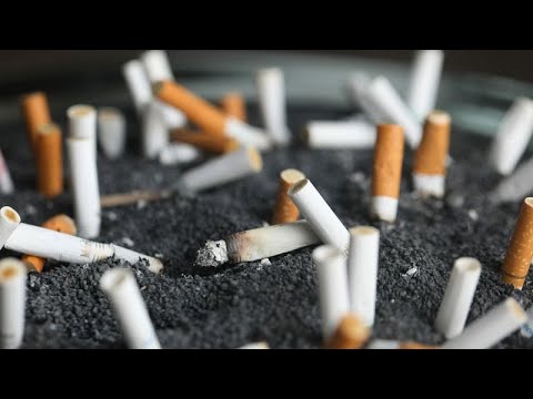La OMS advierte de los peligros de la industria tabaquera para el medio ambiente