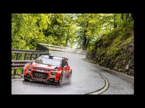 Raliul Argesului 2021-Transfagarasan si ursul fan rally