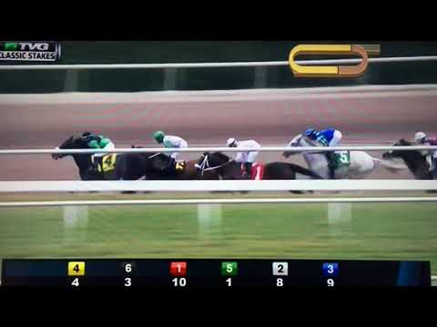 SUNSHINE MILLION'S CLASSIC (G STAKES) 1/20/18 - JAY'S WAY !!!
