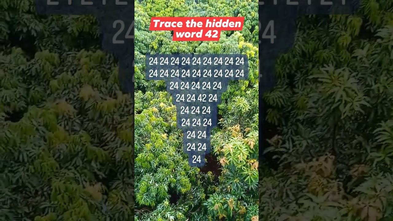 Observation Visual Test: 5 Seconds For You To Spot 42. Try Your Skills!  #search #puzzle #shorts