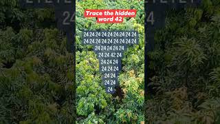 Observation Visual Test: 5 Seconds For You To Spot 42. Try Your Skills!  #search #puzzle #shorts