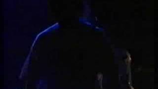 Minimal Compact-  Autumn Leaves