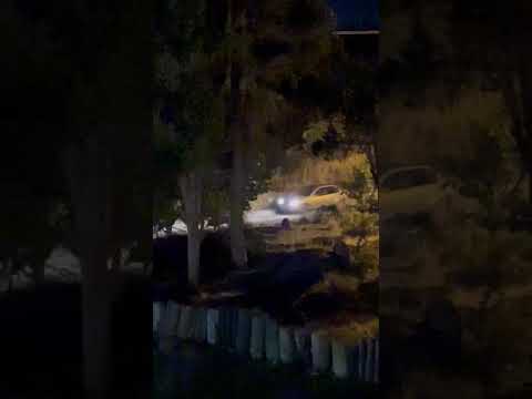 Imagenes que fueron compartidas en un grupo de WhatsApp del barrio 