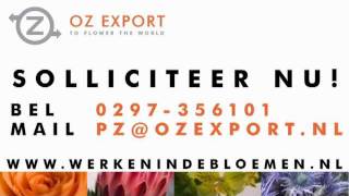 OZ Export Vacatures - Inpakker