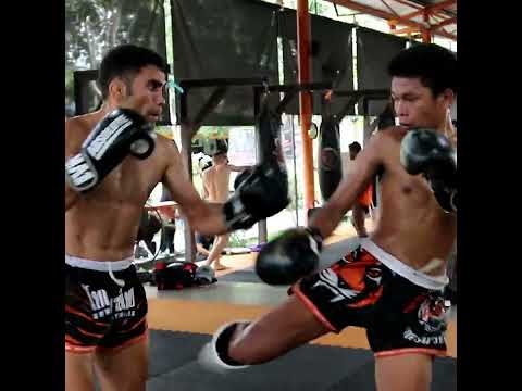 Yodkhunpon 🇹🇭 and Javad 🇮🇷 sparring @ Tiger Muay Thai
