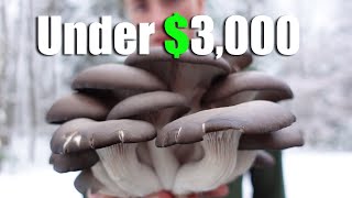 Starting A Small Scale Mushroom Farm