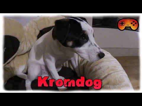 Kromdog bekommt sein Geschenk! Danke an alle Kradojaner ❤