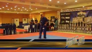 Arnaud Peries (Formas Maestros) International Martial Open "Parque Warner" 2013