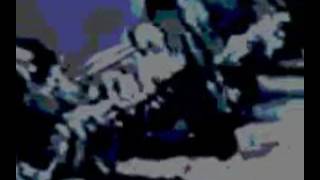 Il Guardiano Di Cani (timoria) Mario migratore version