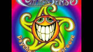 The Common Sense Band &quot;In Your Eyes&quot;
