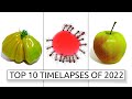 TEMPONAUT Top 10 Timelapses 2022