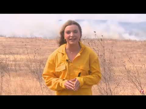 Best Spot News Abby Wilt Durkee