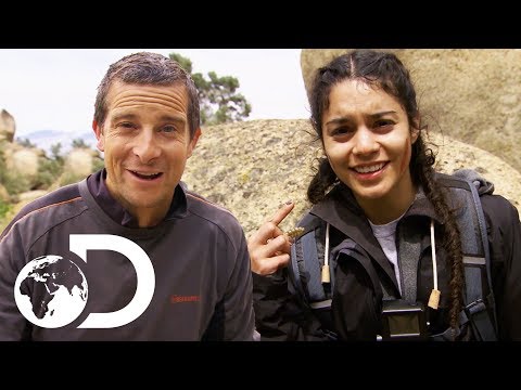 Vanessa Hudgens Kills and Eats A Rattlesnake! | Running Wild With Bear Grylls