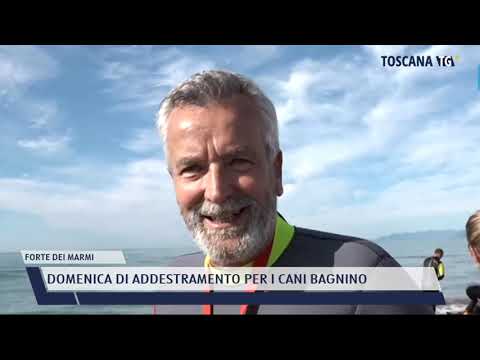 2021-10-24 FORTE DEI MARMI - DOMENICA DI ADDESTRAMENTO PER I CANI BAGNINO