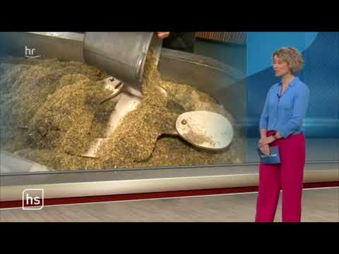 Bericht über den 17. Hessischen Bestattertag in der hessenschau