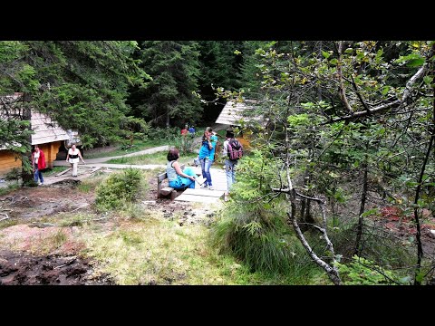 Sântimbru Băi - Büdösfürdő (Județul Harghita, România)