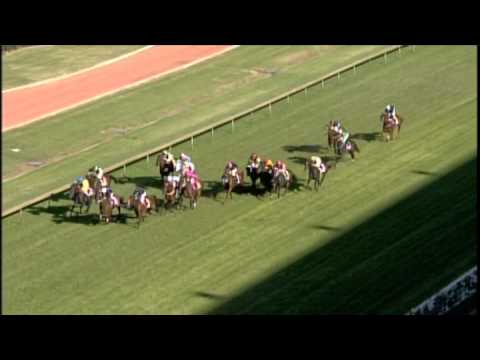 2007 AAMI Golden Slipper - Forensics