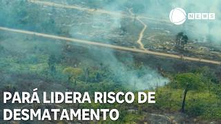 Miniatura do vídeo