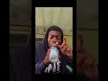 Bottle Bong For Roaches Bong Creative Creator Learning Amazing Smoke Waterbottle