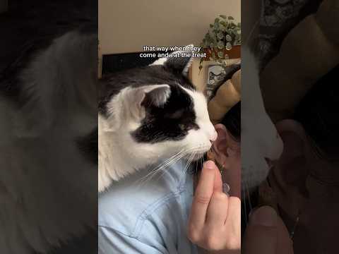 Mental Health Tip feat. Bert!🐱