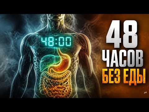 48 часов без еды: что происходит внутри тебя каждый час