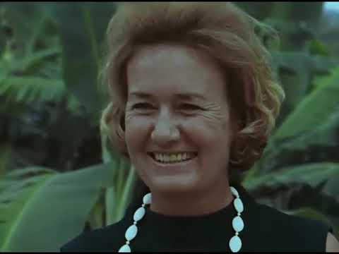 The Sky's The Limit - Jamaica