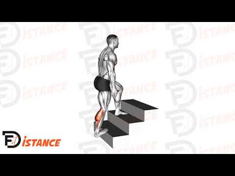 Exercice Étirement des mollets