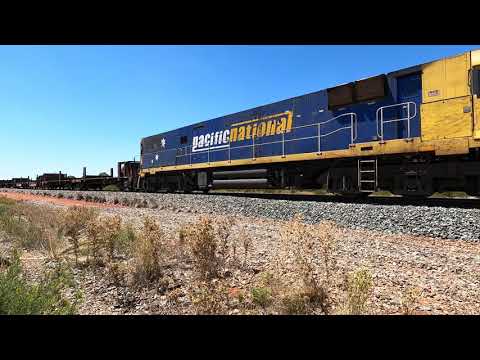 NR95 & NR106 at Matakana NSW.  Wed 12th Jan 2022