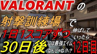 【VALORANT】の射撃訓練場で１日１スコアずつ伸ばしていったら３０日後には最強エイムなんじゃね？？？　＃12日目