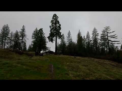 Learning the GoPro Hero 12 and all the Video elements