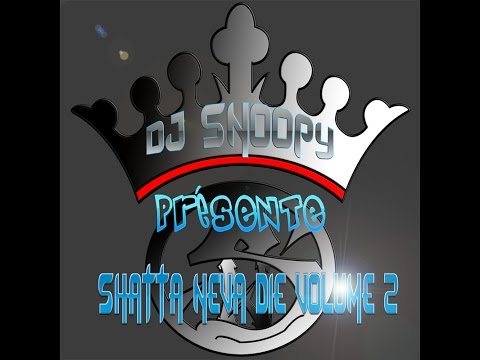 Dj Snoopy Shatta -- Neva Die Volume 2 (2015)