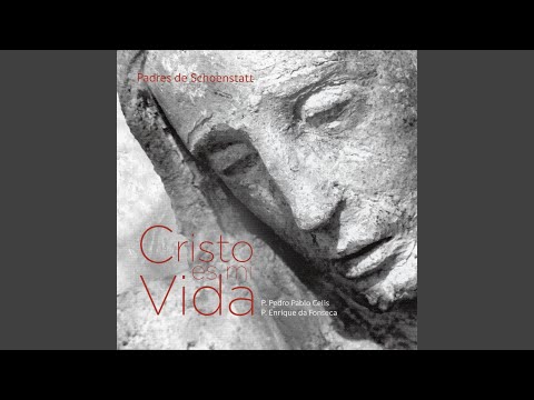 Qué Quieres - P. Enrique da Fonseca