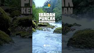 Download lagu IBADAH PUNCAK DARI KEBAHAGIAAN | Ustadz Armen Halim Naro, Lc #short #sholat #motivation #rosal mp3 Download lagu IBADAH PUNCAK DARI KEBAHAGIAAN | Ustadz Armen Halim Naro, Lc #short #sholat #motivation #rosal mp3
