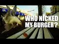 Who Nicked My Burger Bloomin Gulls