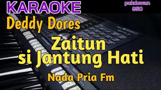 Download lagu Zaitun Si Jantung Hati | Deddy Dores | Karaoke | Cover Nada Pria mp3 Download lagu Zaitun Si Jantung Hati | Deddy Dores | Karaoke | Cover Nada Pria mp3