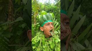 Download lagu 'Bird calls' #entertainment #shorts #birdsounds #nature #birdcalls #forestbirds #birds mp3