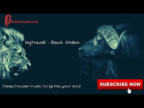 bigTmusiK - Black Stallion