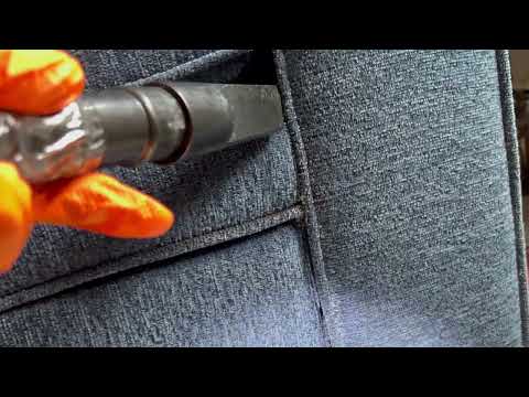 Bed Bugs Crashing on the Couch in Monmouth...