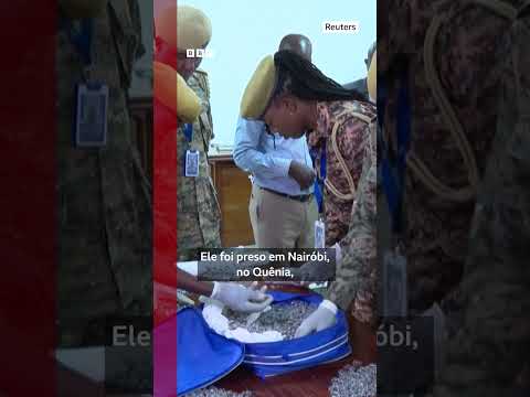 O chinês preso tentando contrabandear 2 mil formigas rainhas do Quênia