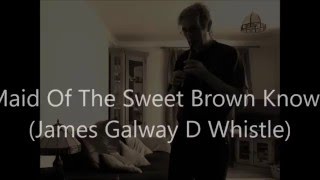 Maid Of The Sweet Brown Knowe (James Galway D Whistle)