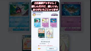 ２日連続レアゲットチャレンジ！ルザミーネおばさん感謝します🙏#ポケモン #ポケポケ開封チャレンジ #shorts
