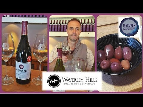 Vinhos Orgânicos e Olive Estate Waverley Hills, Tulbagh