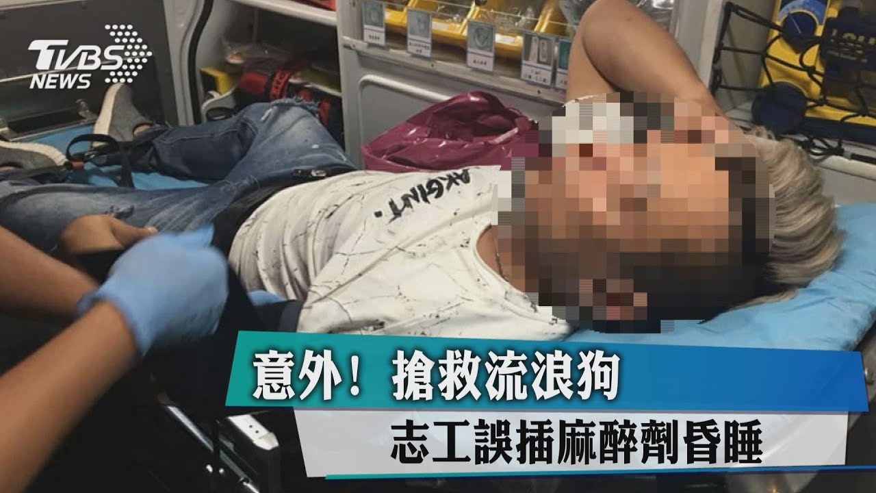意外！搶救流浪狗　志工誤插麻醉劑昏睡